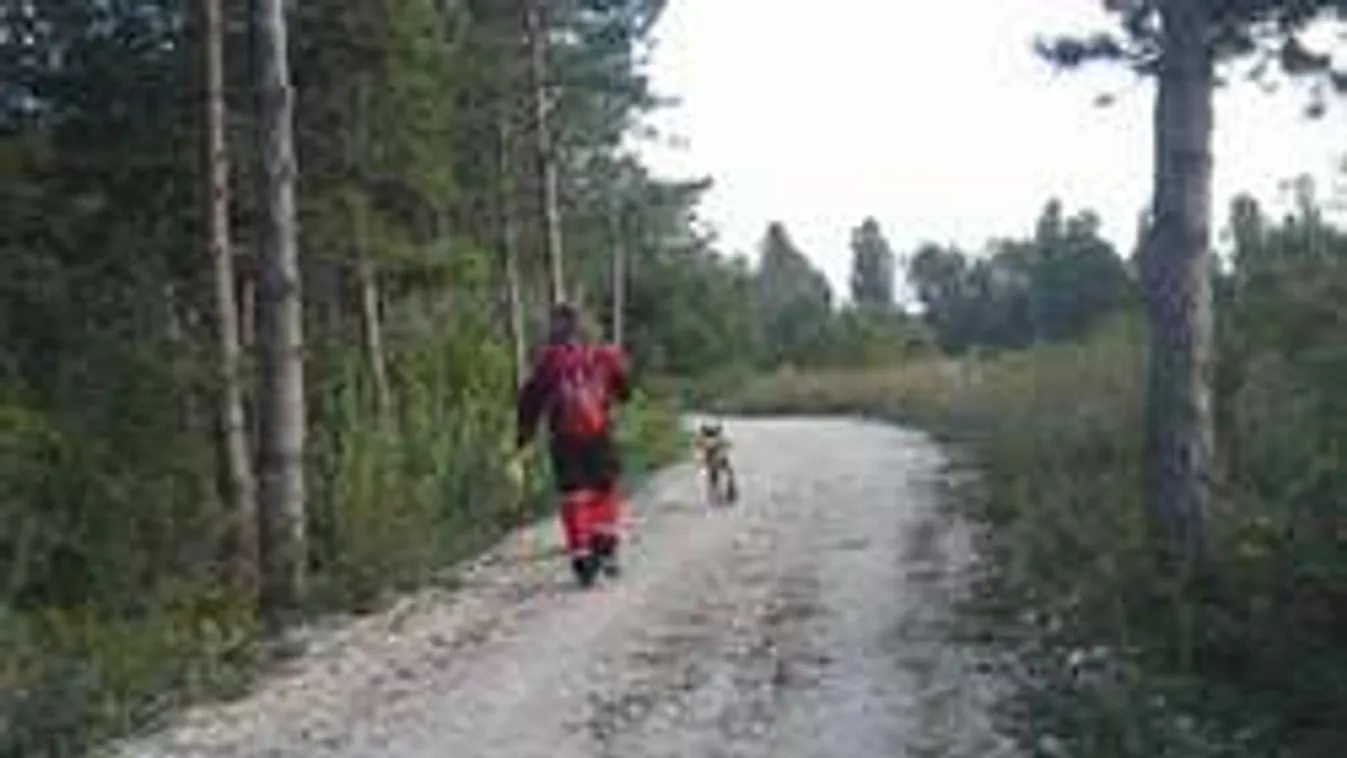 Rejtélyes körülmények között találták meg az eltűnt magyar diákot!