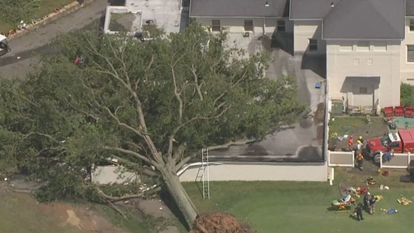 Sosem láthatta kisbabáját: a szülés előtt agyoncsapta a viharban egy kidőlő fa a sportolót