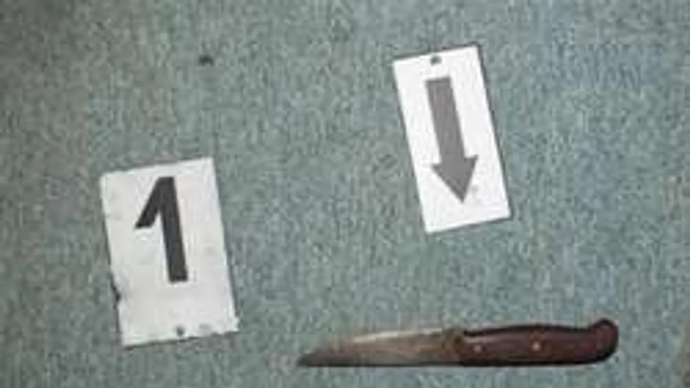 Késsel fenyegette kétéves kislányát, az anya testével védte a gyereket!