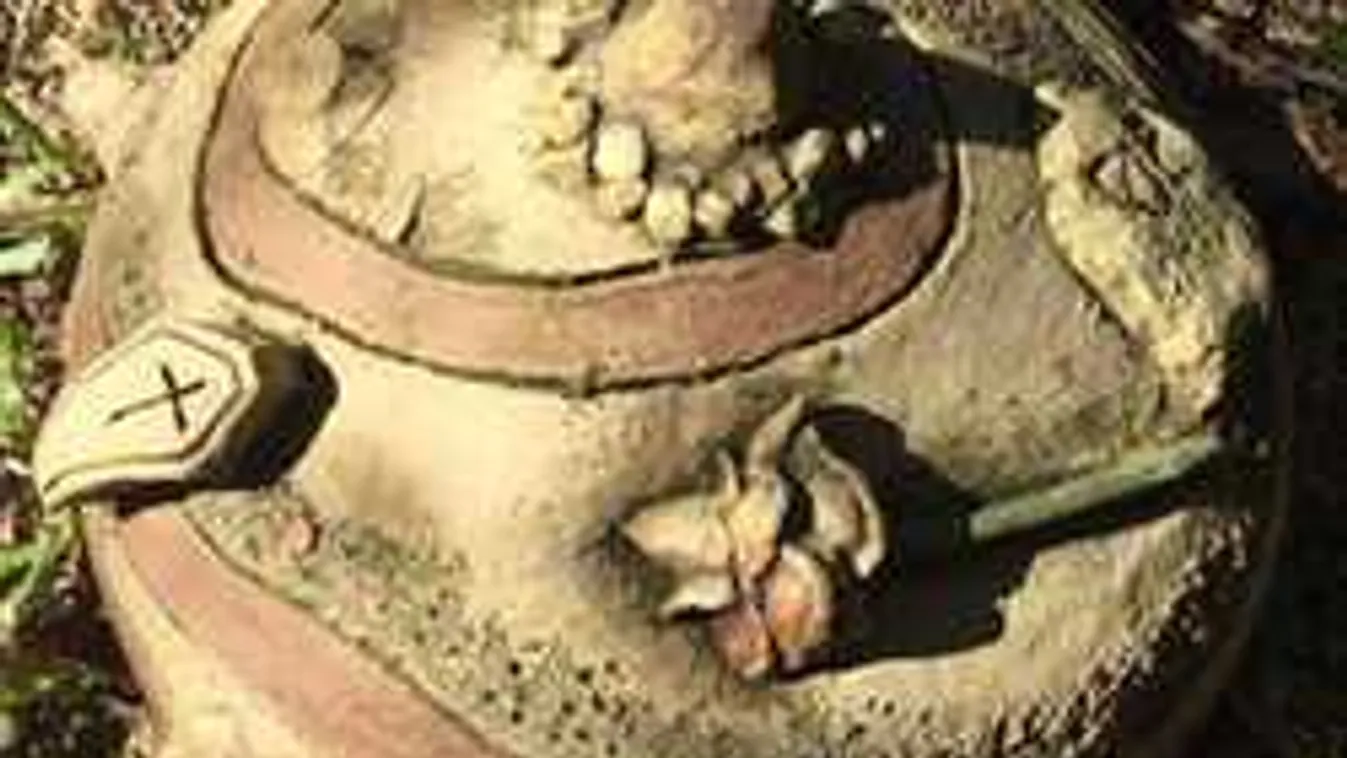 Sokkot kapott a nő: Ezt találta új háza kertjében