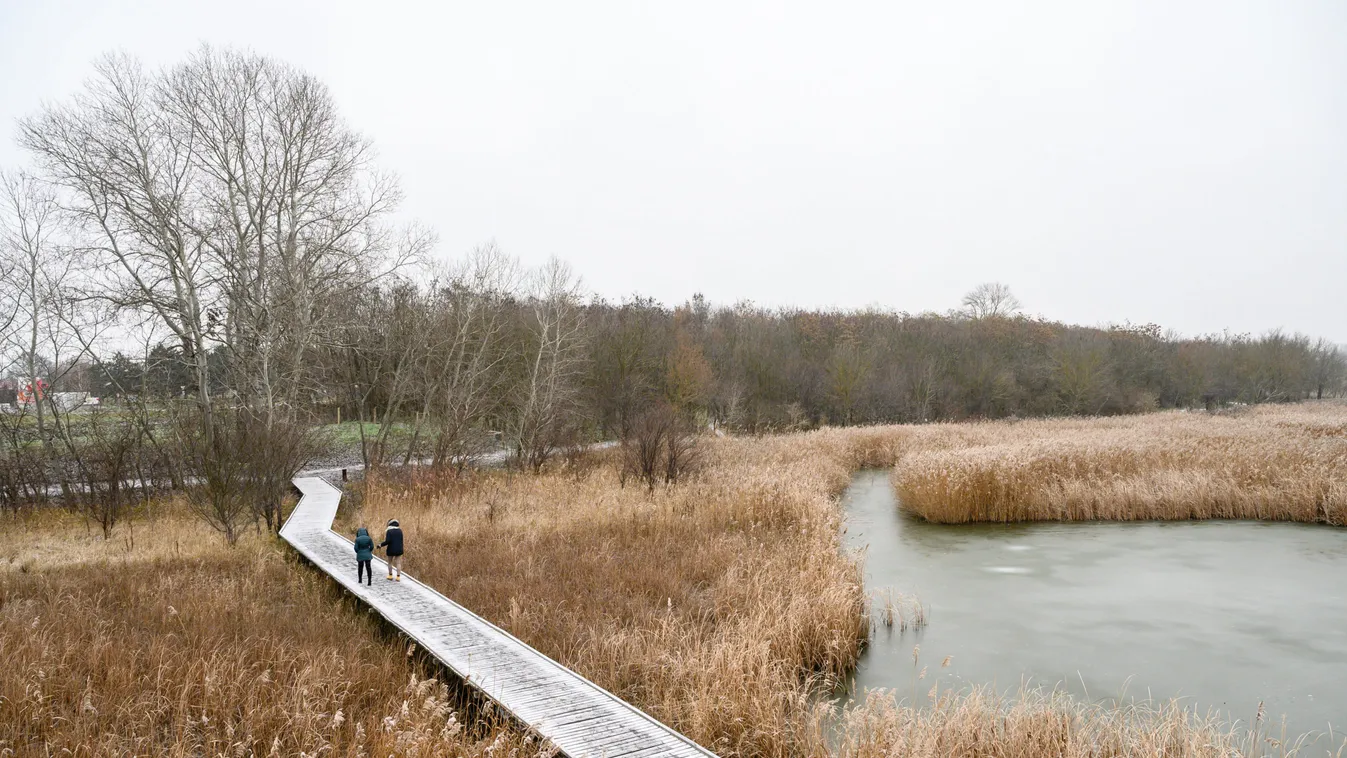 Gyönyörű: havazott Székesfehérváron – fotók