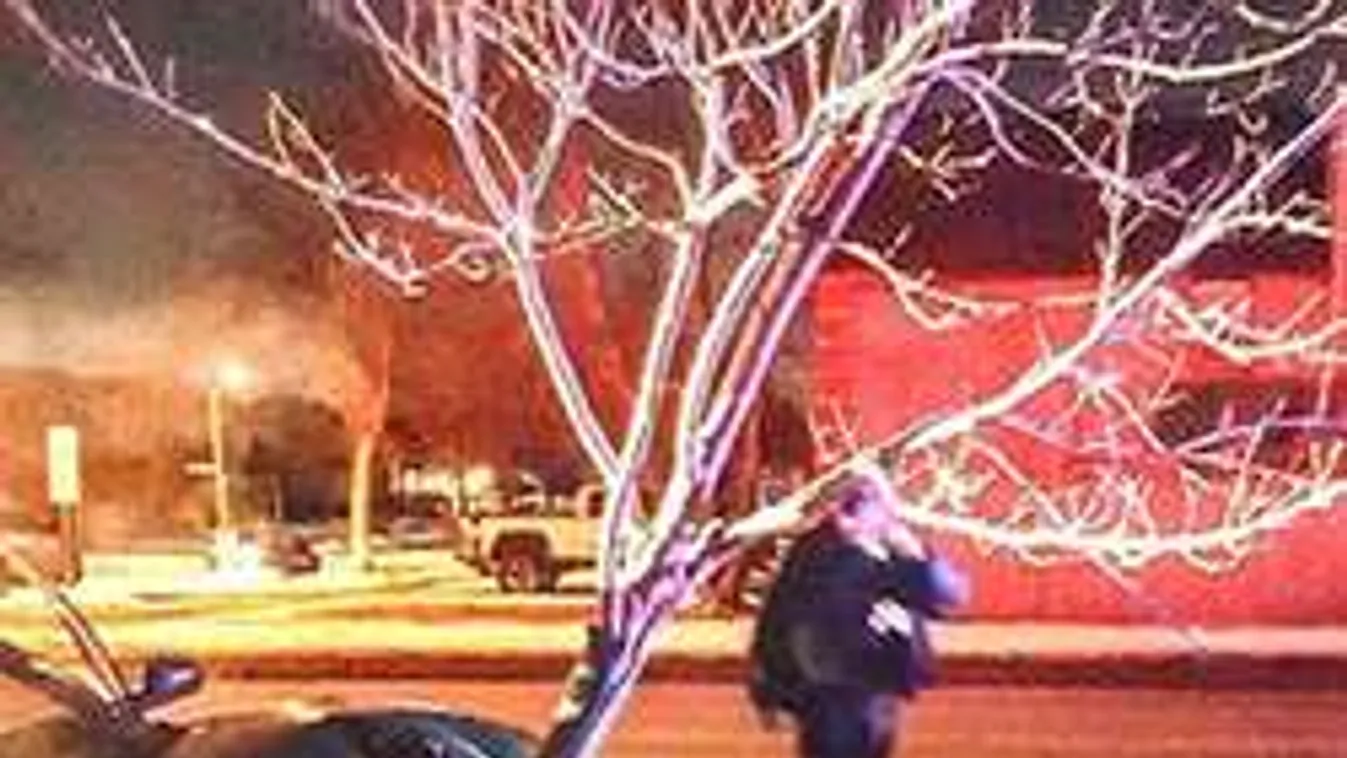 Részeg nő száguldozott egy óriási kidőlt fával