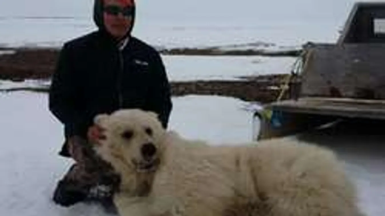 Elképesztő ragadozót lőttek le Kanadában