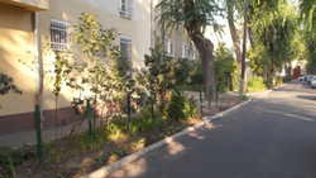 Exkluzív fotók: Bombát találtak a magyarok, rejtélyes az ügy