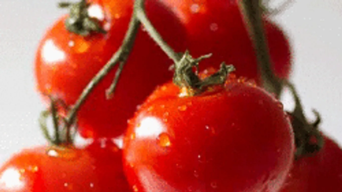 A nagy kerti trükk, ezért szórj tojáshéjat a paradicsom köré