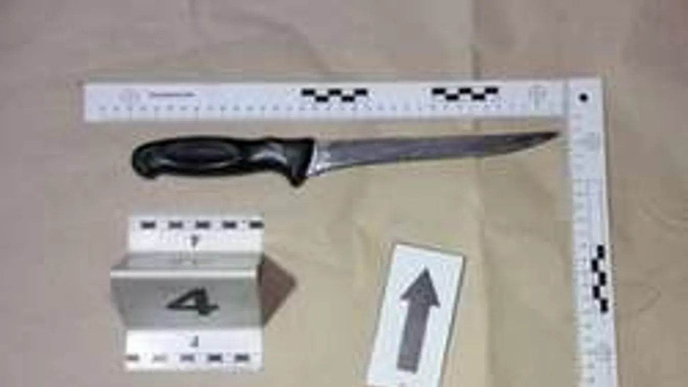 Egyéves kisbabája nézte végig terhes anyja mészárlását a lakótelepen