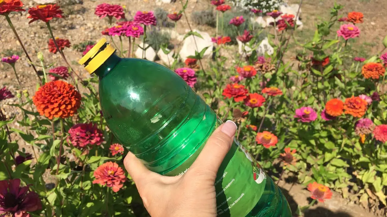 Önts ecetet a kertedbe, eszméletlen lesz a hatás