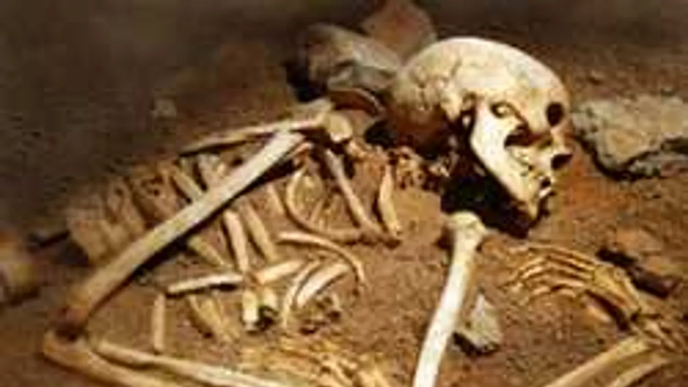 Ezt nem gondoltuk az Árpád-házi királyokról, újraírhatják a történelmet