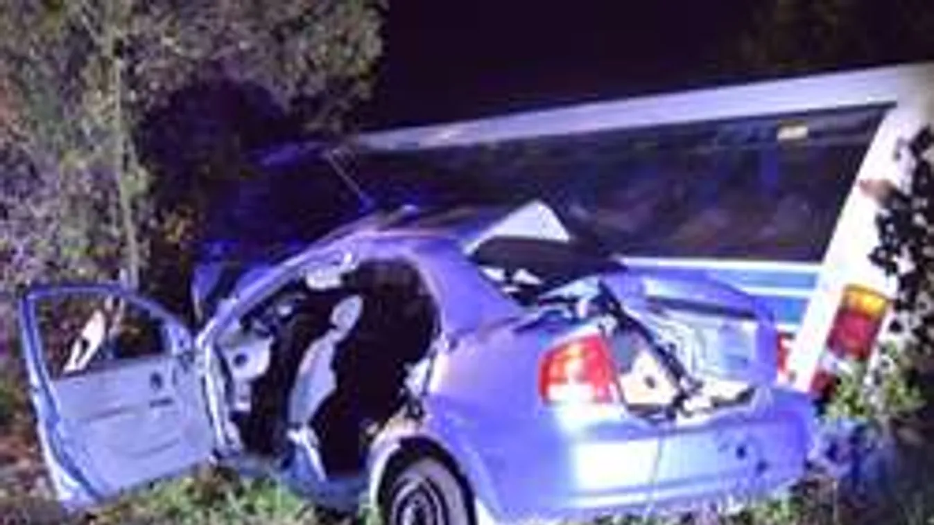 Ezek a tündéri kisfiúk az érsekvadkerti baleset áldozatai