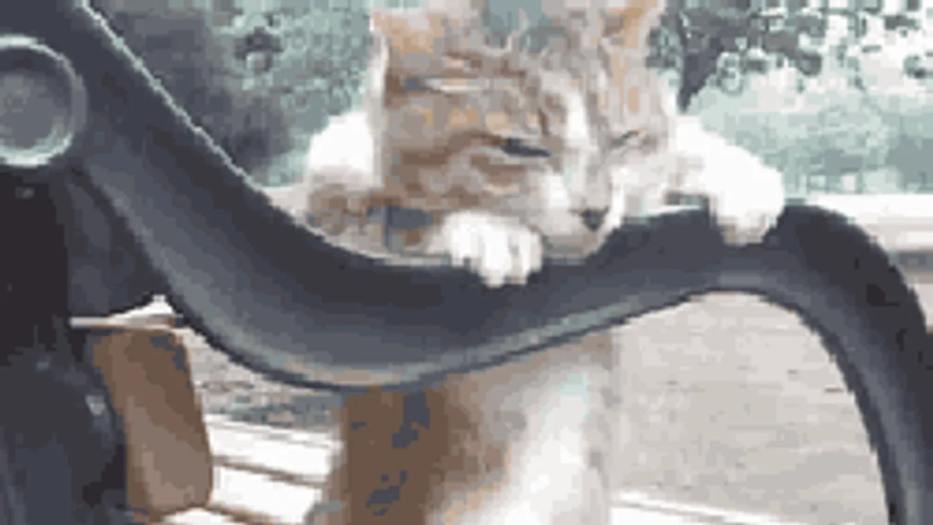 Lecsap az ítéletidő: többféle riasztást adtak ki a nyár legvégére