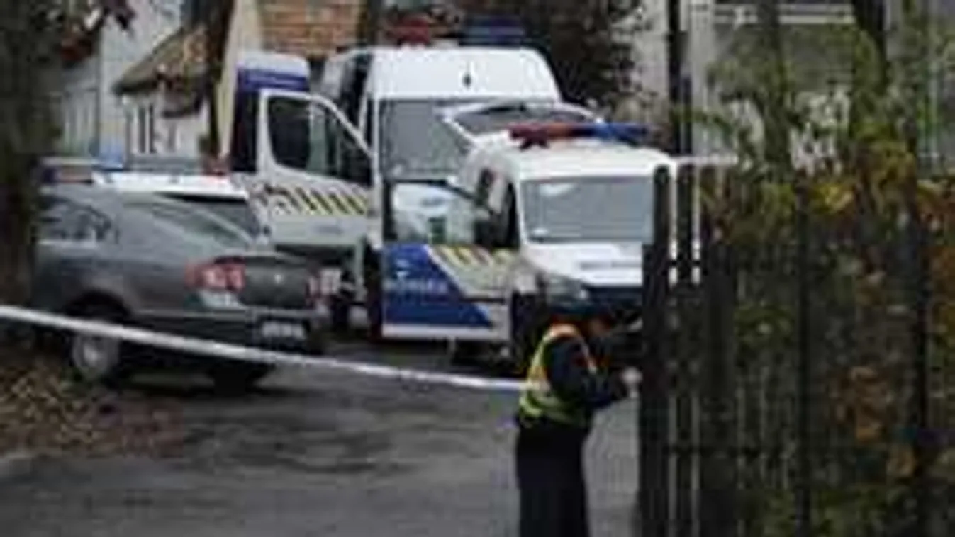 Ma döntenek a békásmegyeri óvónő feltételezett gyilkosának sorsáról