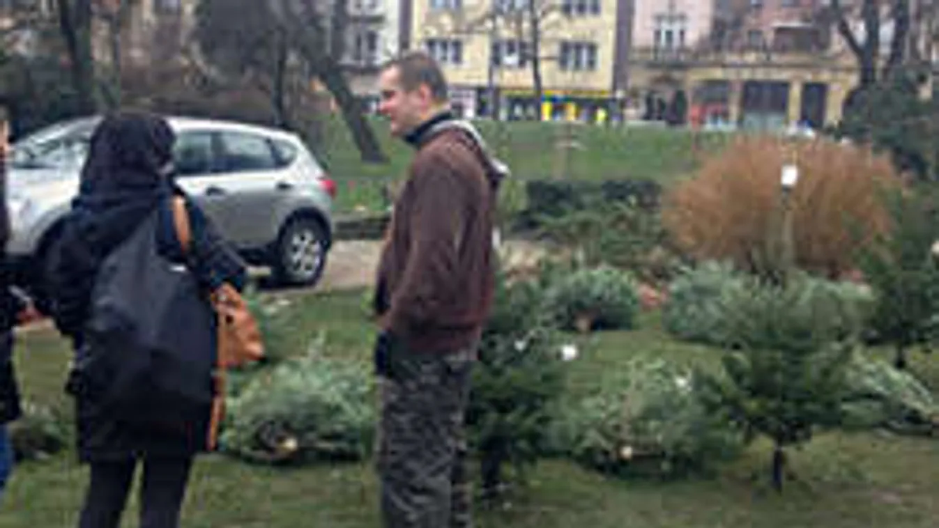 Már csak a maradékokat találjuk a fenyőárusoknál