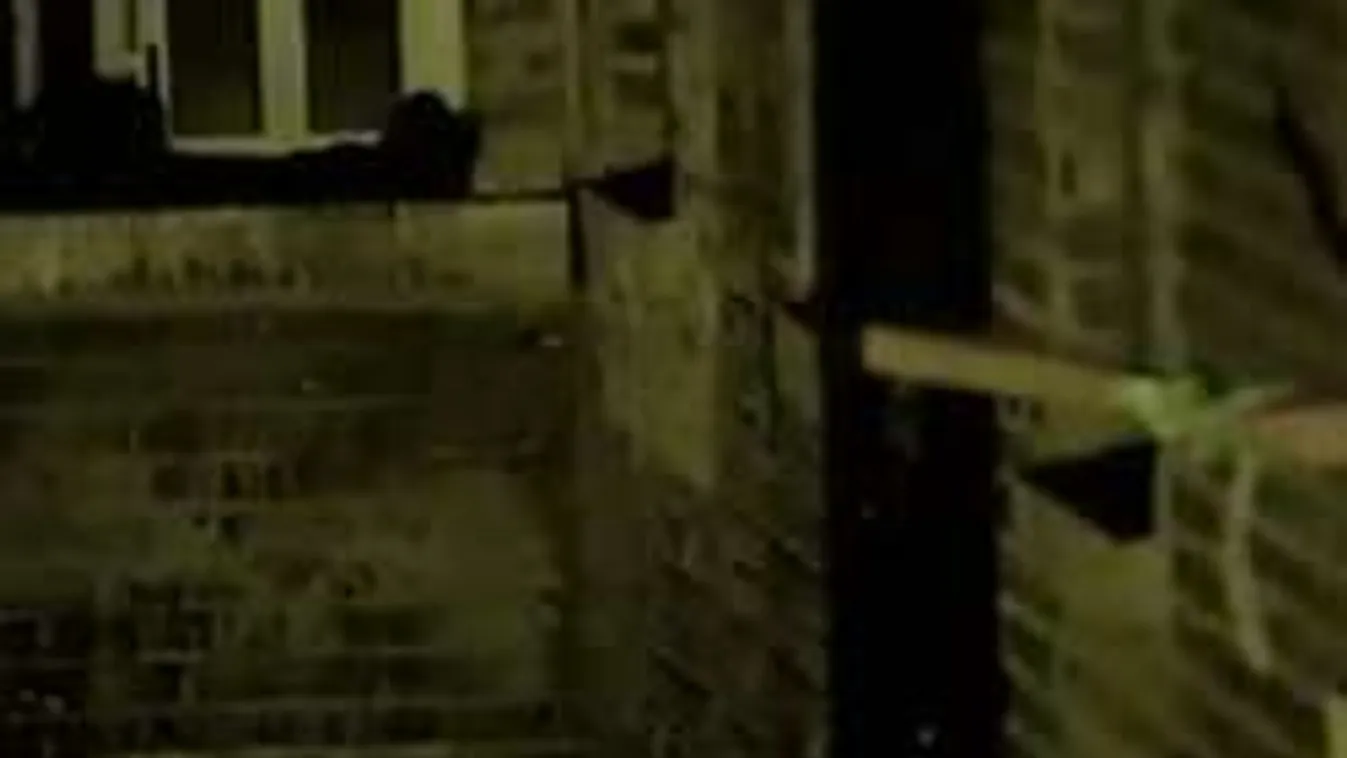 Ilyen pofátlanul csempészik be a drogot és a mobilt a börtönökbe!