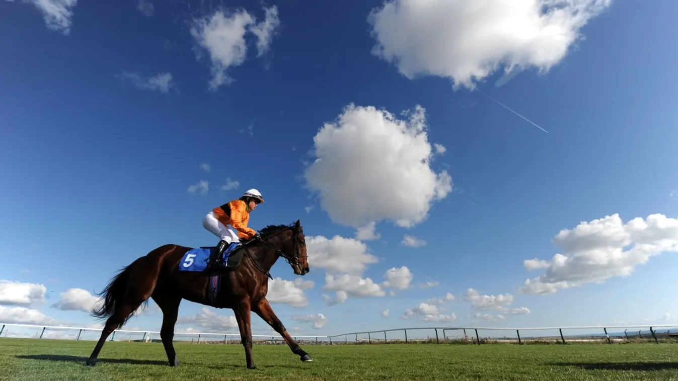 A Racehorse and Jockey