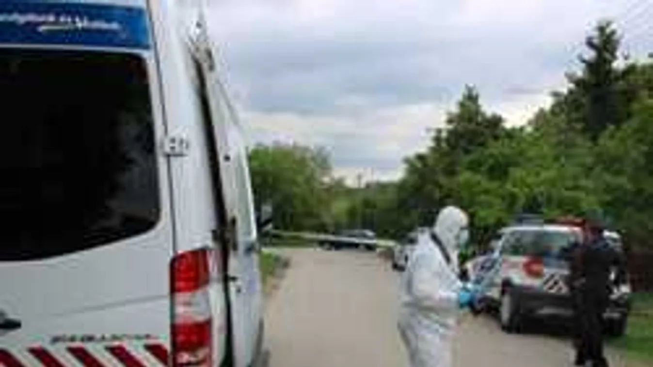 Újabb anyák napi anyagyilkosságra derült fény