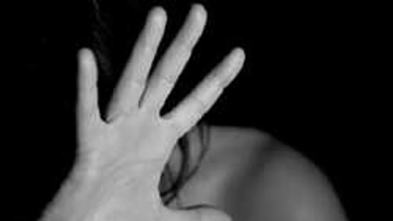 A bokrok közé rángatott egy nőt a migráns, de valamire nem számított...