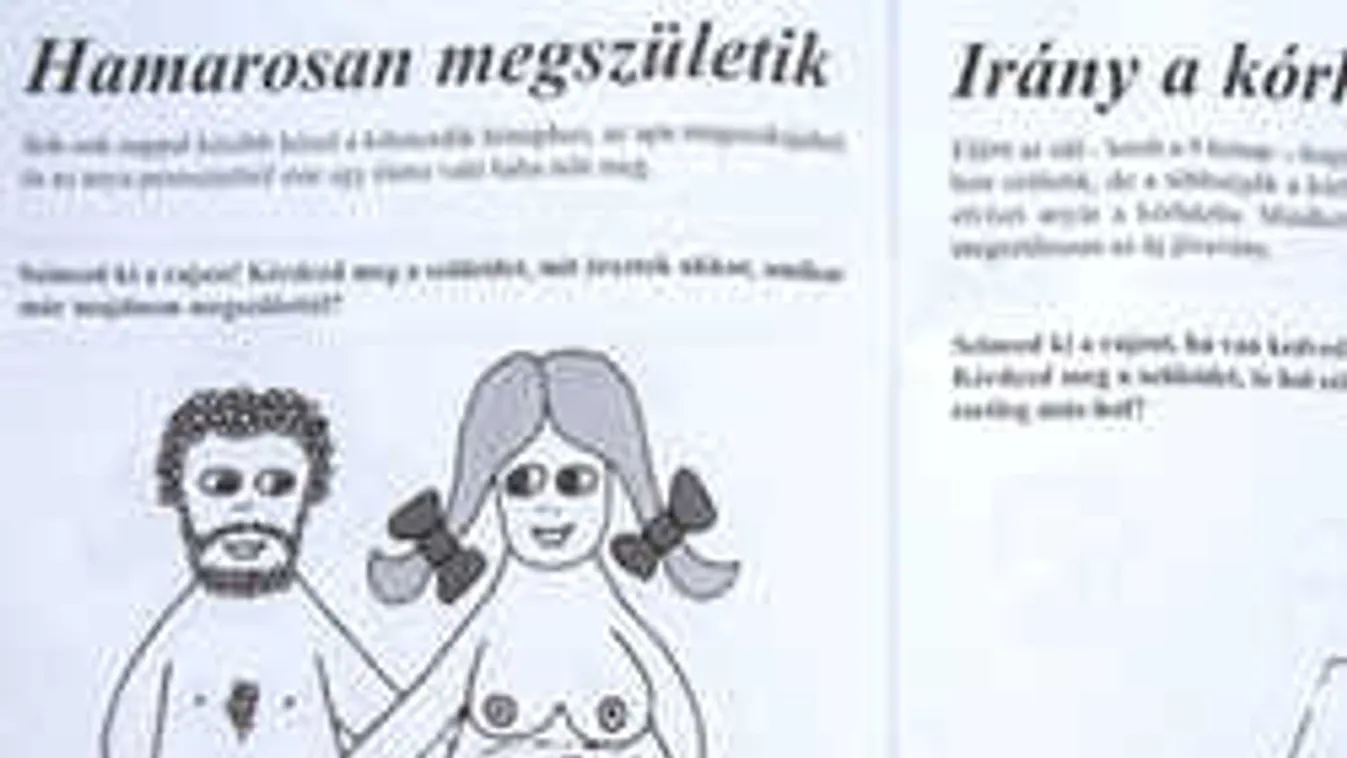 Hatalmas botrány robbant ki: újabb perverz gyerekkönyv jelent meg