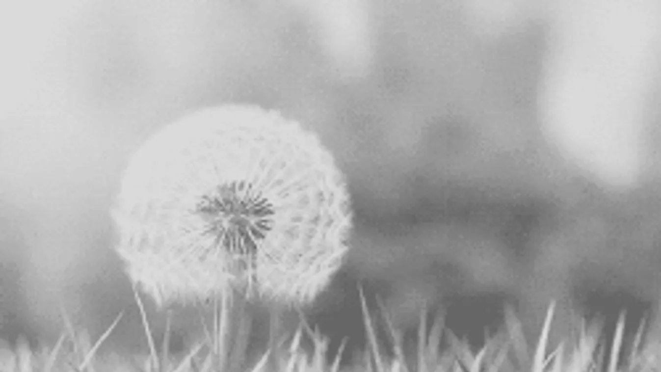 Közölték a meteorológusok: brutális májusra számíthatunk