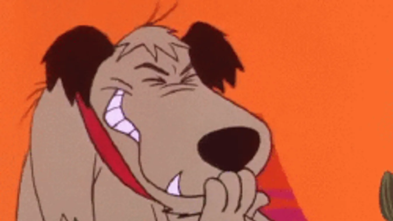 A fél világ ezen a kis srácon röhög!