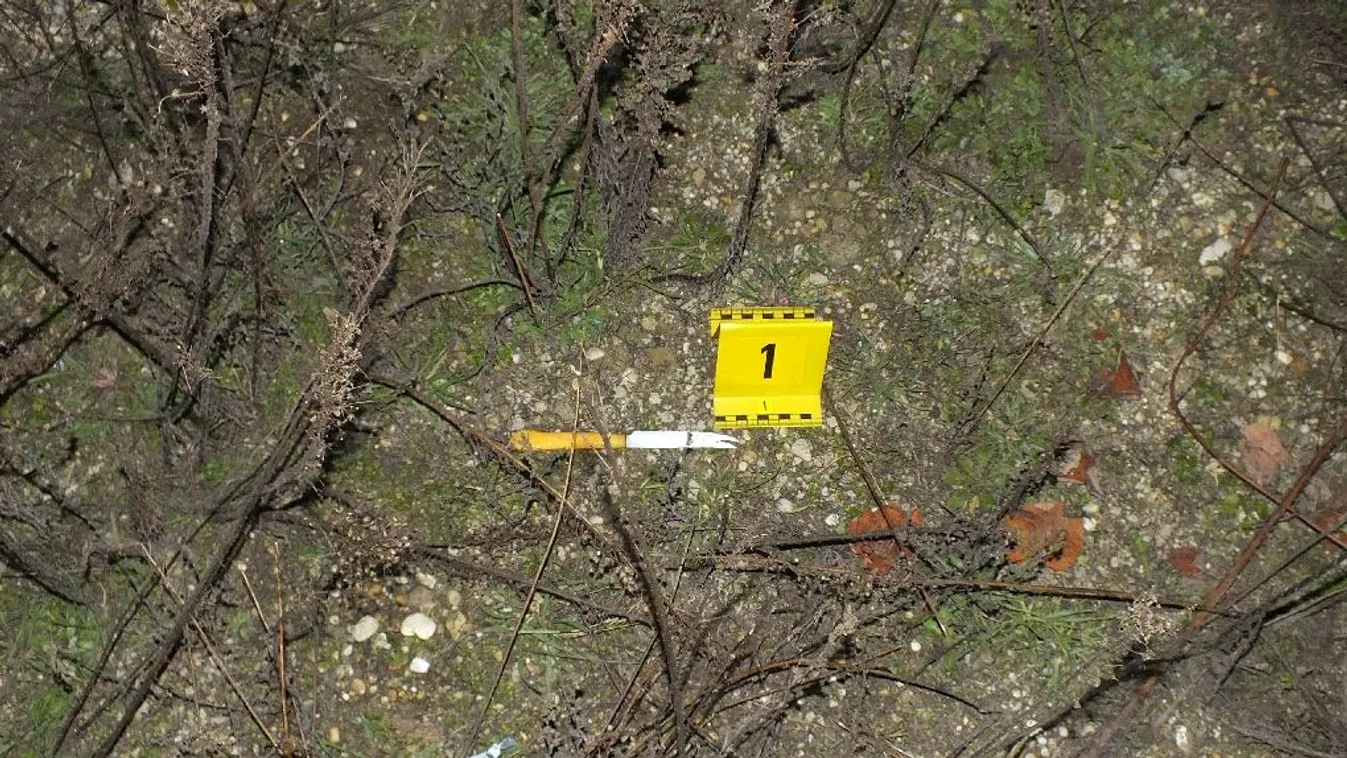 Dunavarsányi gyilkosság: egy 15 éves tini is gyanúsított