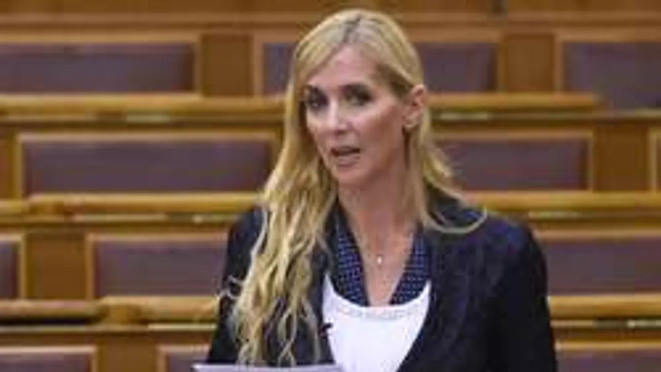 Nincs esély arra, hogy Gyárfás maradjon az elnök