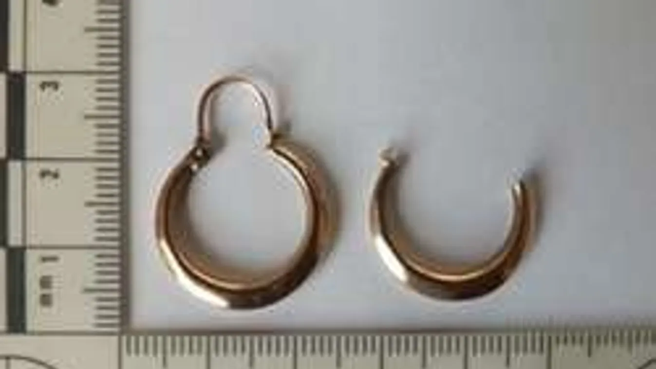 Tizenöt évet is kaphat a fiú, aki idős nénik fülbevalóját tépte ki