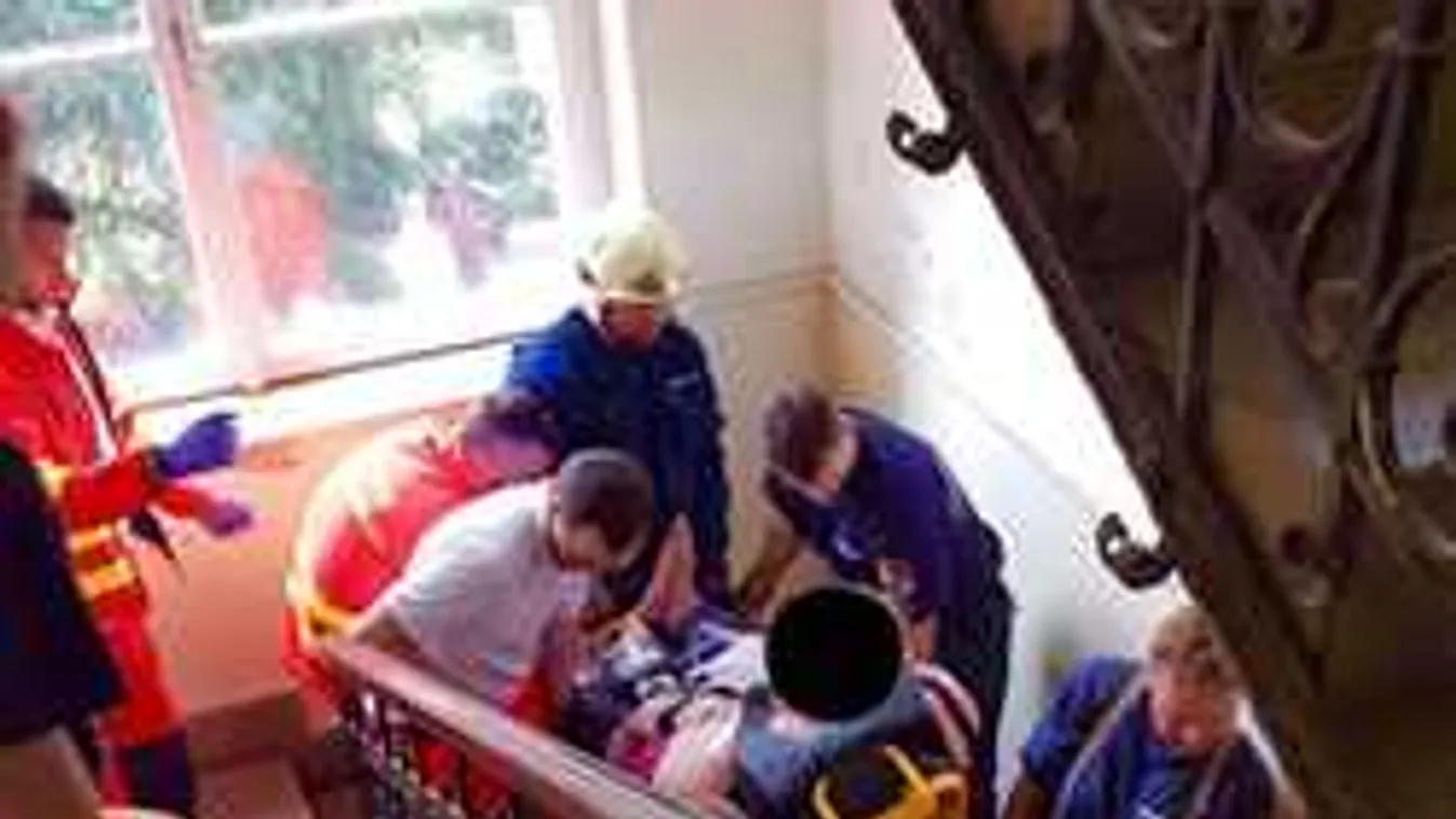 Óriási bajt okozott a virág a társasházi lépcsőfordulóban