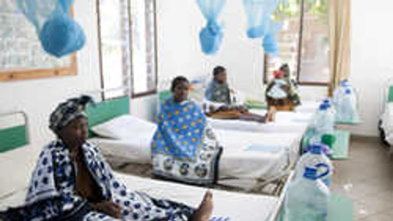 8000 női körülmetélt nő él Ausztriában! +18