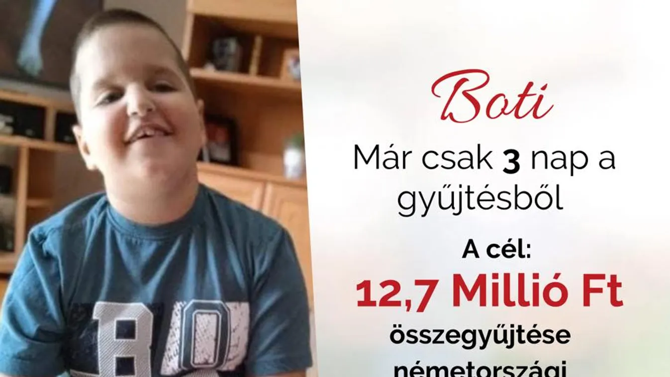 Három napja maradt: Boti életének megmentéséért rendeznek gyűjtést