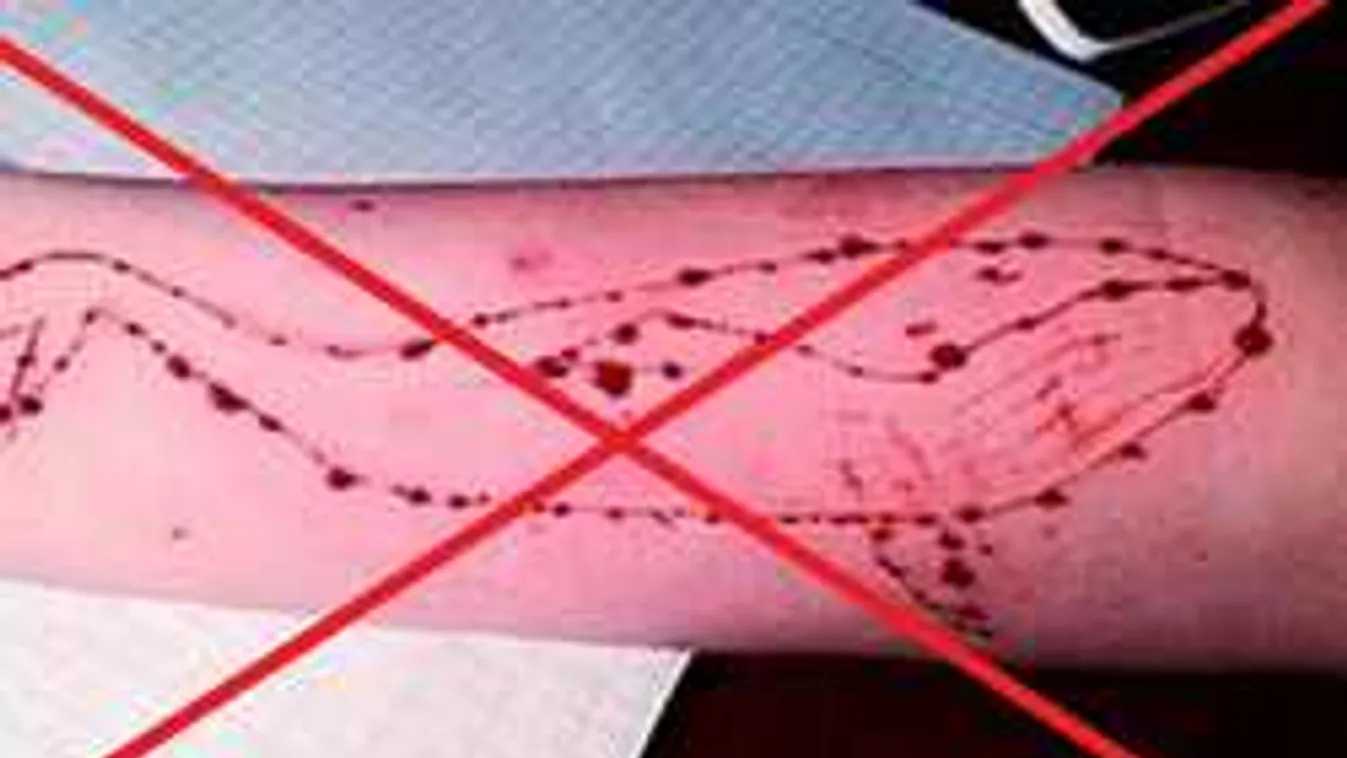 Szülők figyelem: Telefonon is terjed a Kék Bálna gyilkos játéka