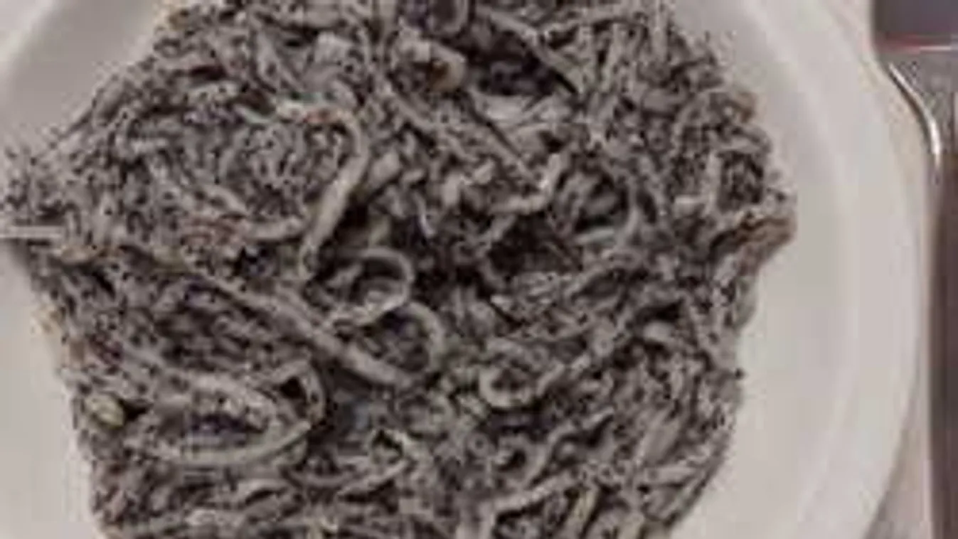 Kukac volt a menzás mákos tésztában Dunakeszin