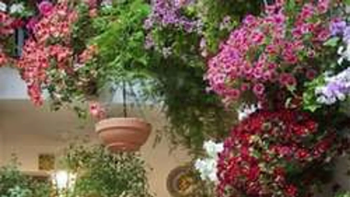 Nem bírod kivárni a tavaszt? Így kezdj el ültetni!