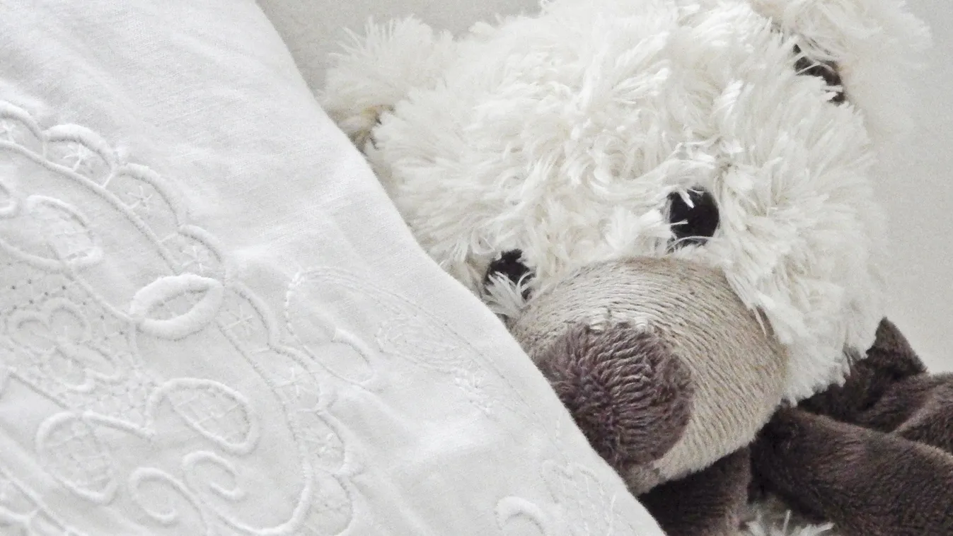 Azonnali visszahívás: veszélyes darabok válnak le a magyar áruház játékáról