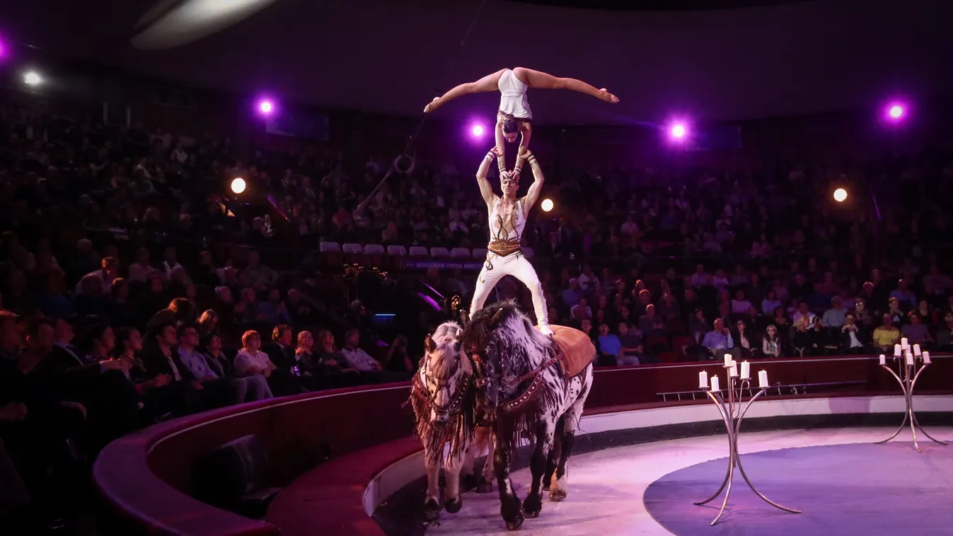 Durva, mit kell csinálniuk az artistáknak a koronavírus miatt