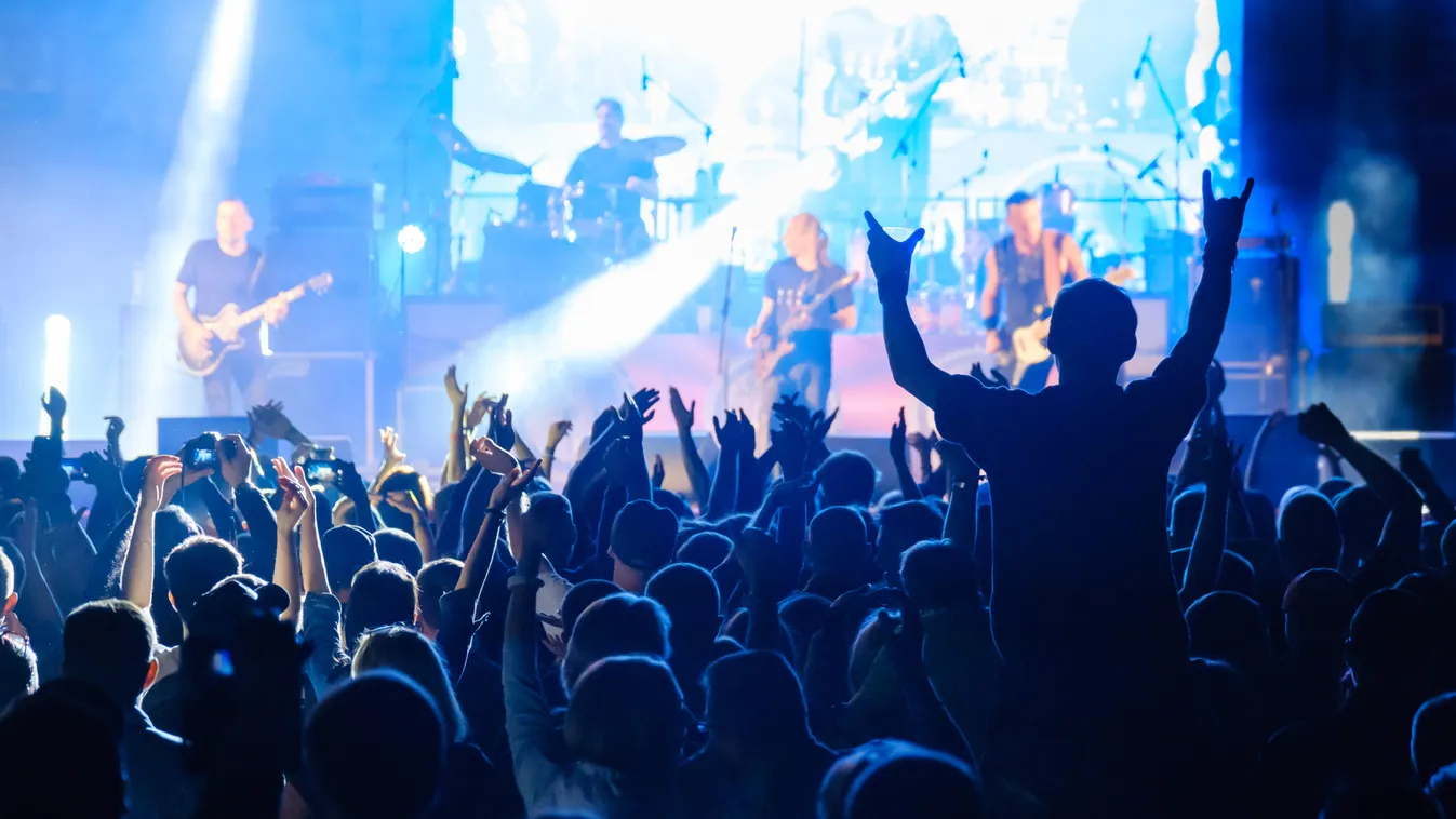 Fans,At,Live,Rock,Music,Concert,Cheering,Musicians,On,Stage,