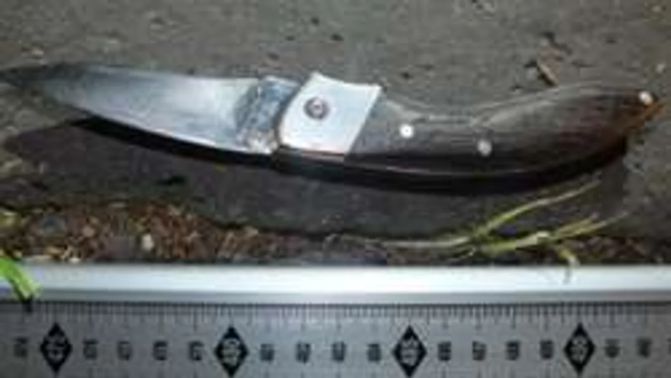 Volt barátnőjének párját szúrta meg a dunaújvárosi férfi