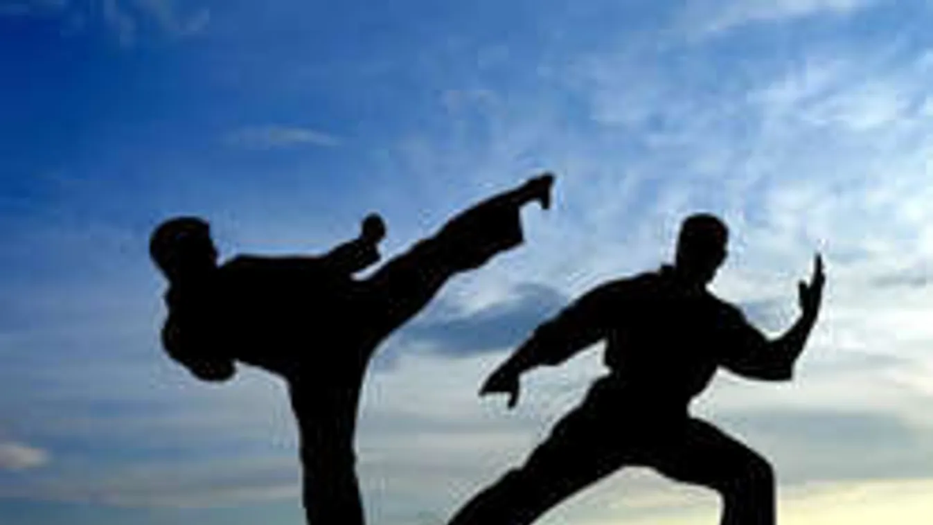 Meggyilkolt nőkkel reklámozta magát egy karateklub