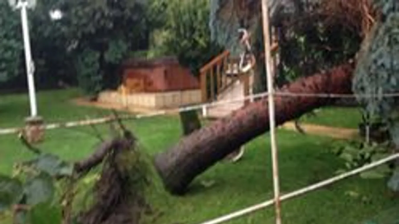 Gyerektáborra dőlt fa, lángoló vasútállomás - hatalmasak a viharkárok