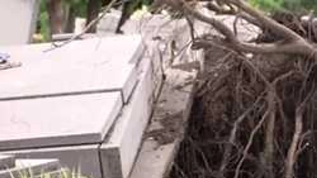 Hátborzongató látvány, sírköveket forgatott ki a vihar a földből Makón