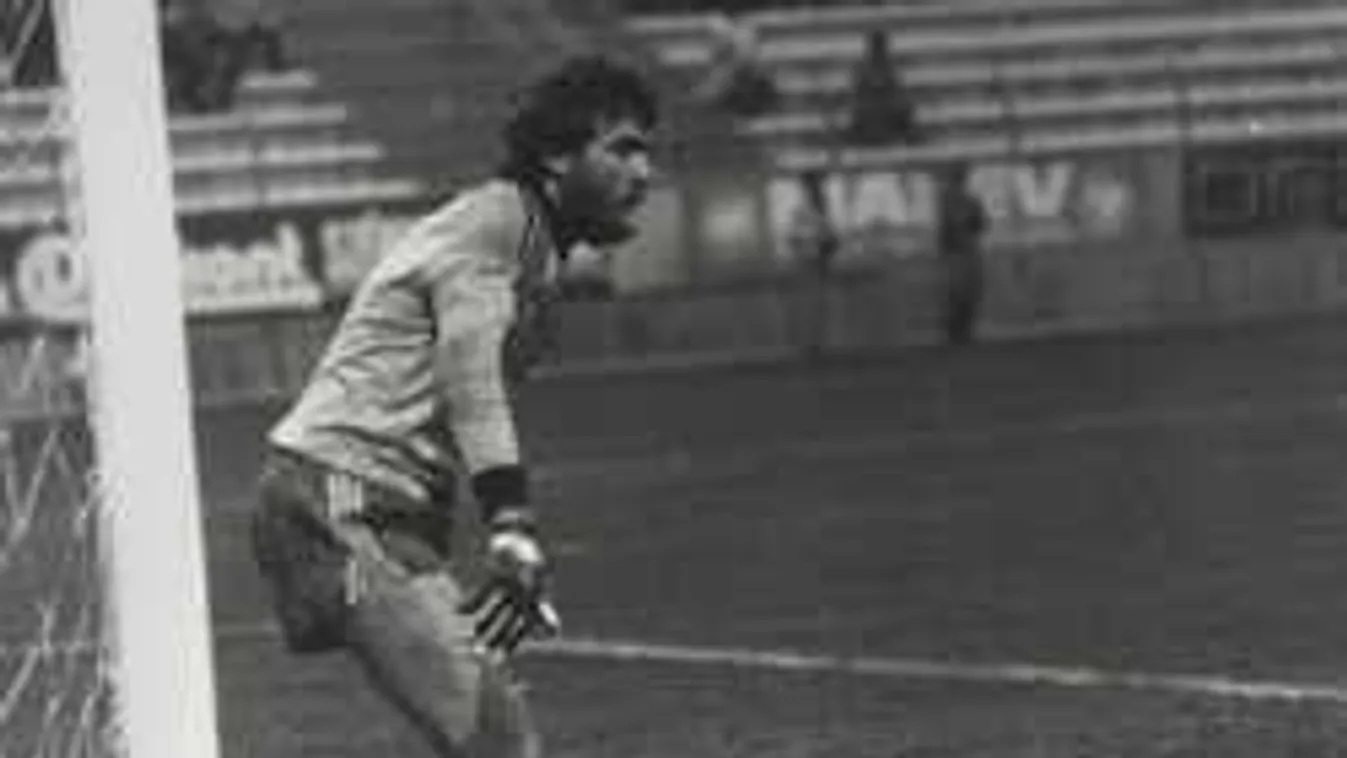 Pornót nézett a magyar focicsapat a kupasiker előtt