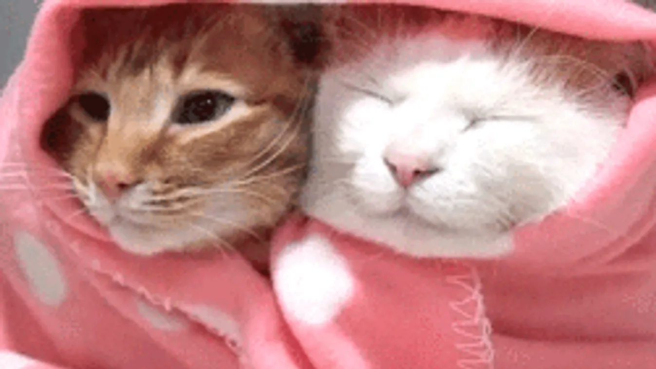 Bekeményít az időjárás, itt csap le ma először a durva vihar