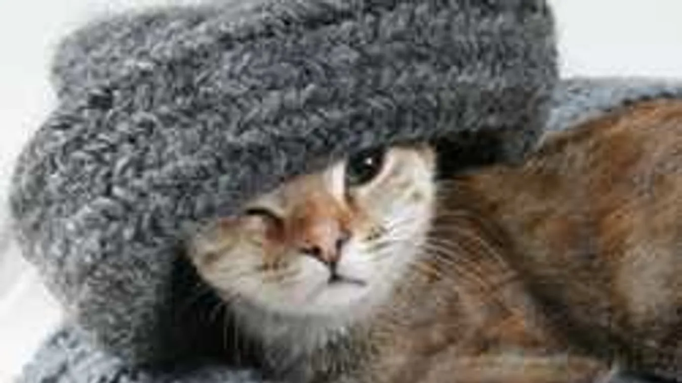 Riasztást adtak ki: kíméletlen hidegfronttal jön a hóvihar