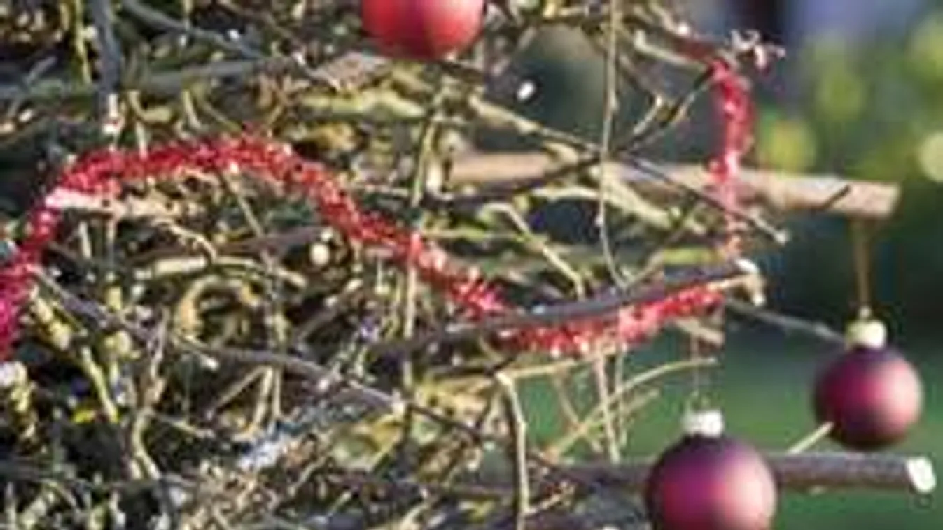 Korai karácsonnyal kedveskedtek a halálos beteg lánynak