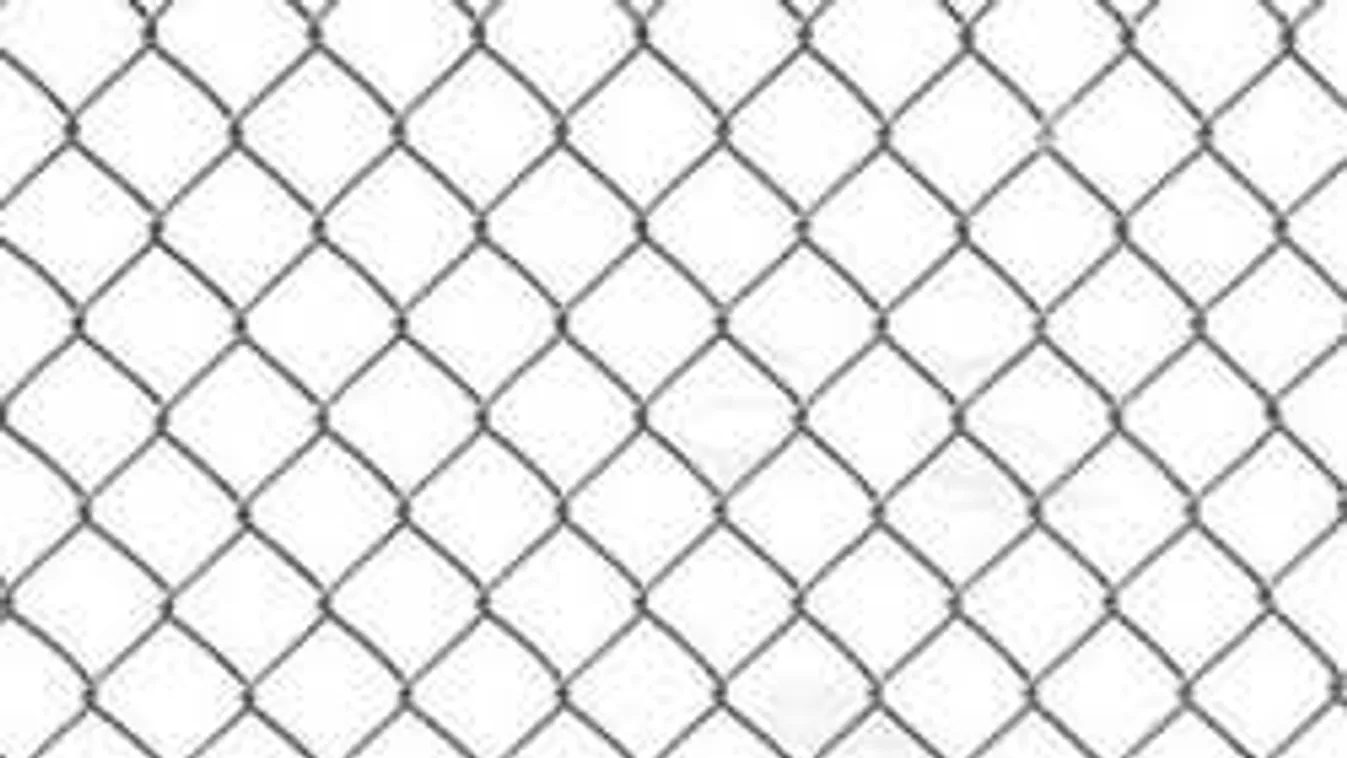 Átveri az emberek 89%-át ez a képrejtvény - rajtad is kifog?!