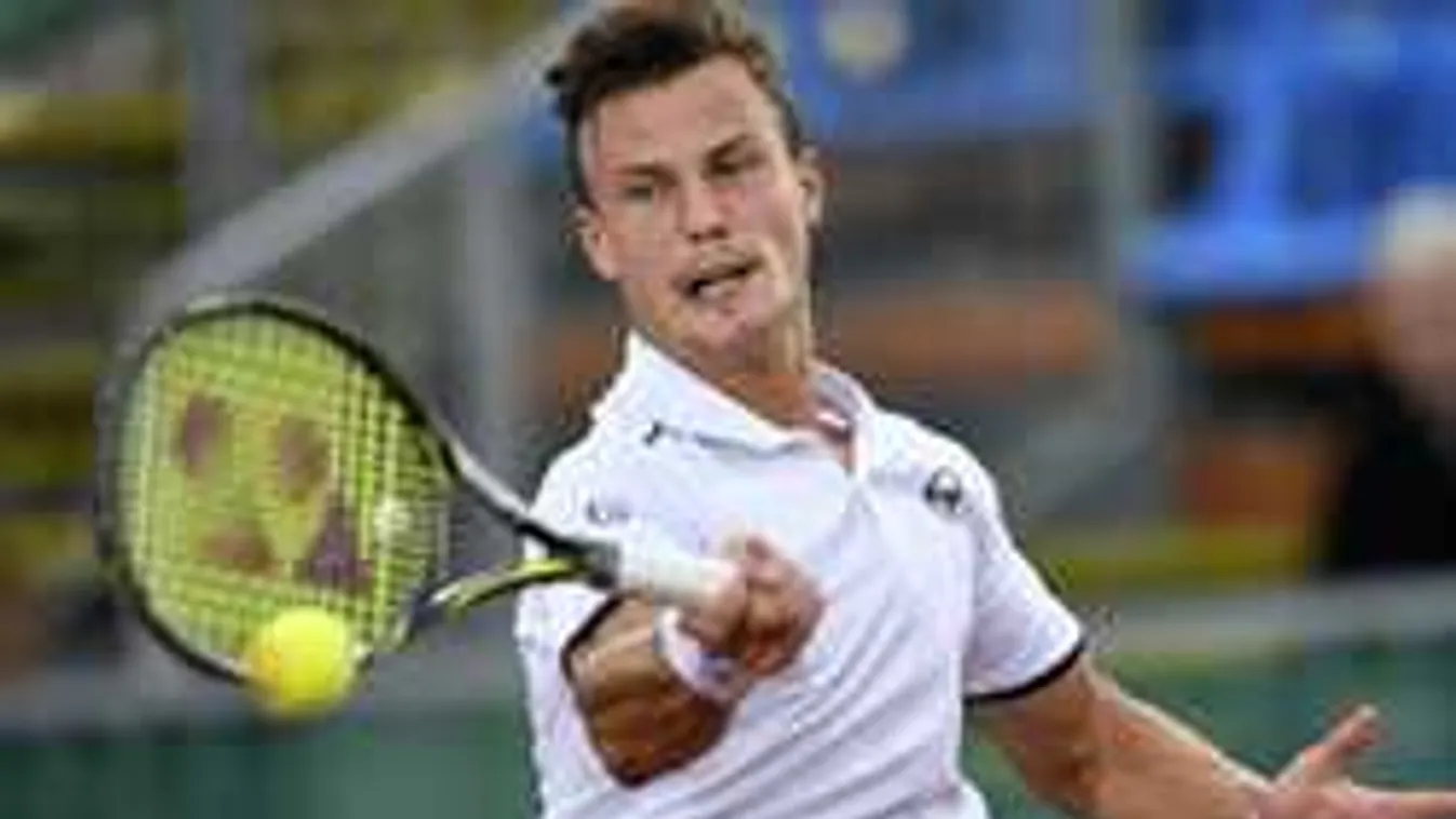 Tátottuk a szánkat, így döntöttek a magyar sportrajongók