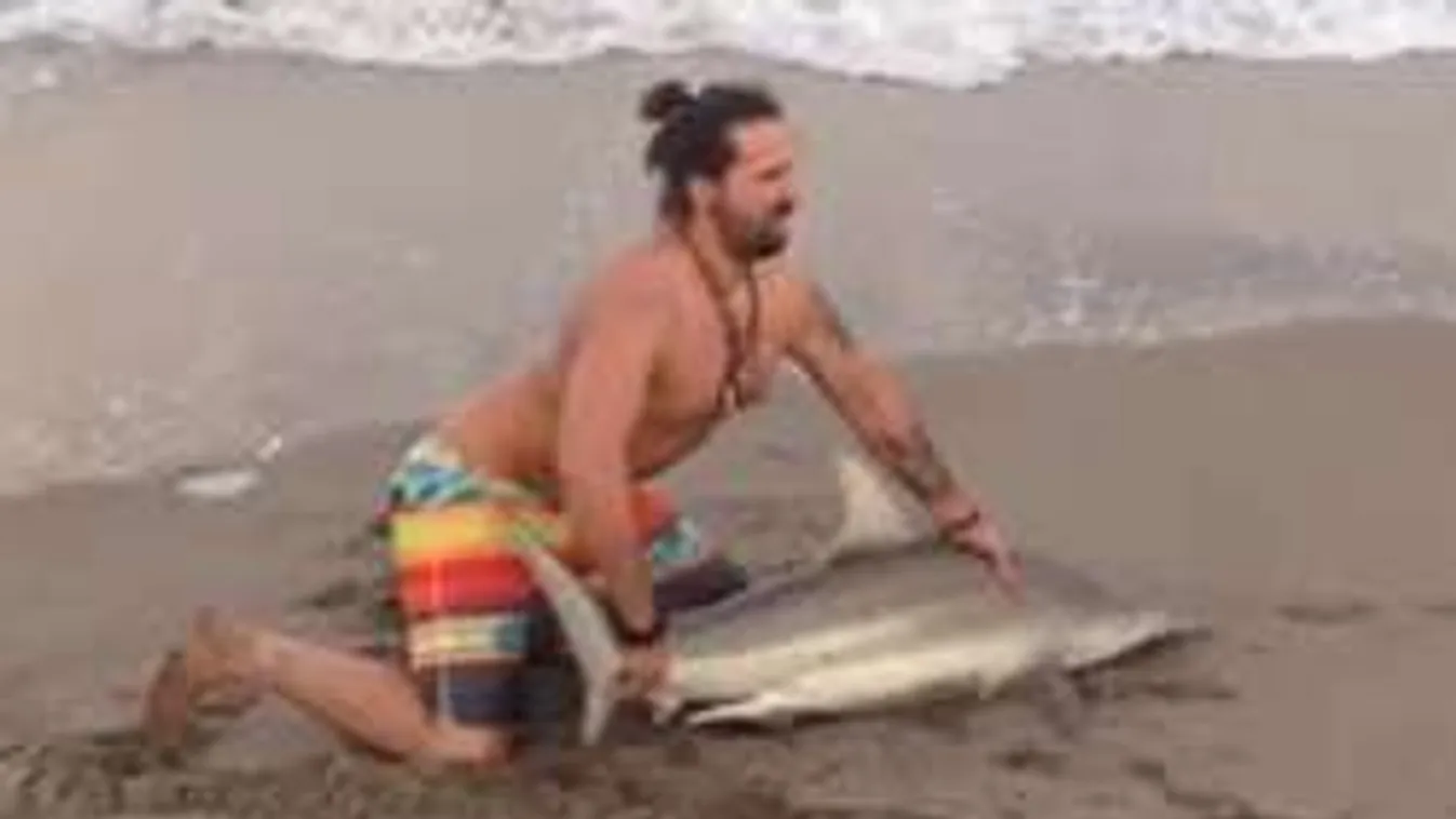 Csak egy szelfit akart az őrült strandoló: partra rángatott egy cápát!