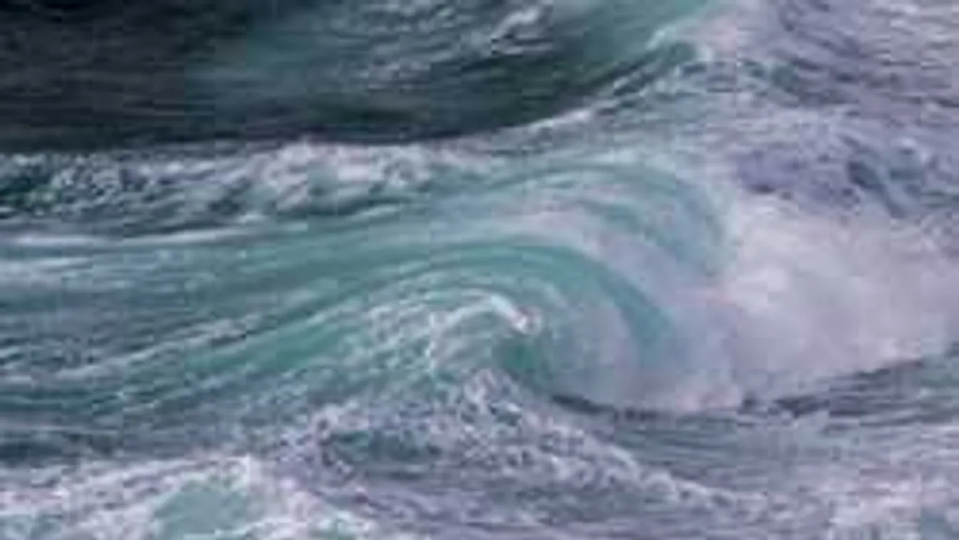 Ilyen még nem volt, rémisztő tengeri lény akadt horogra - videó