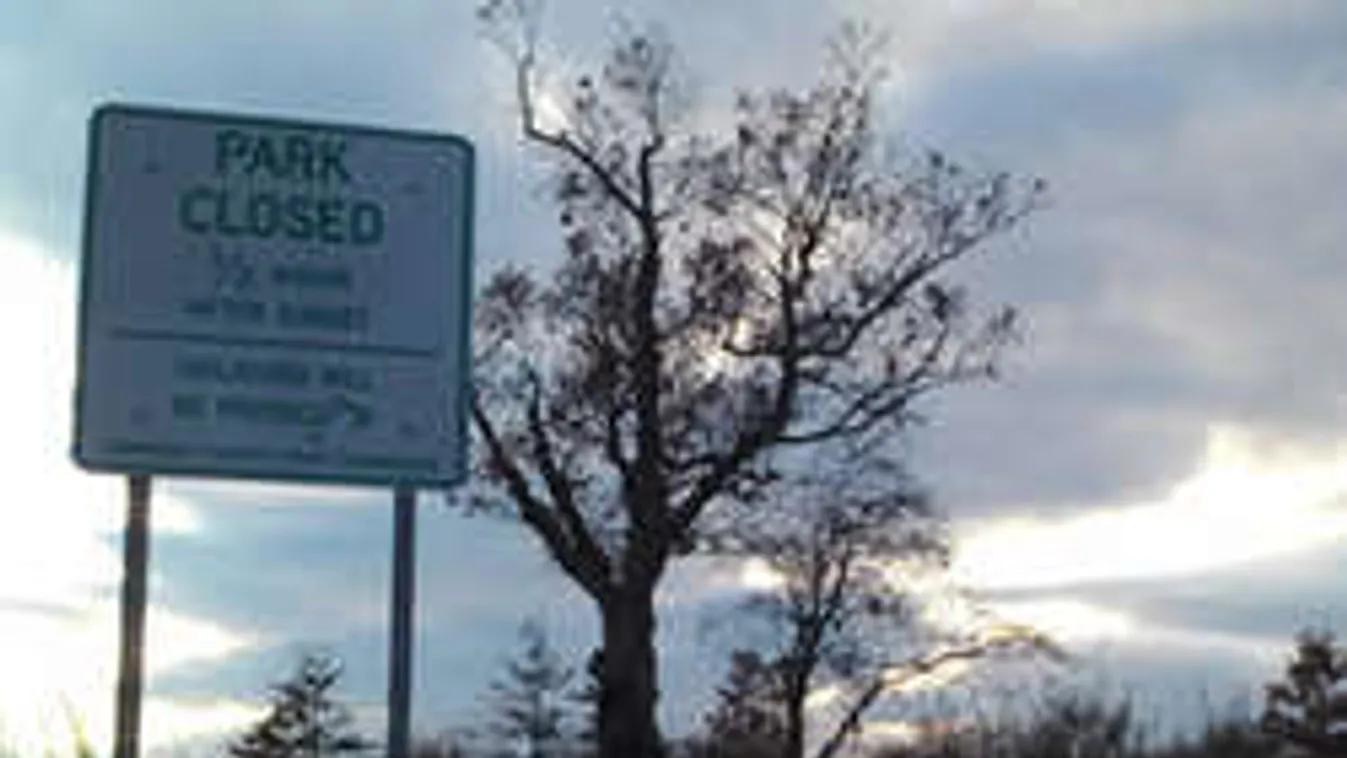 Rettenetes bosszút áll a rejtélyes gonosz fa, ha hozzáérsz!