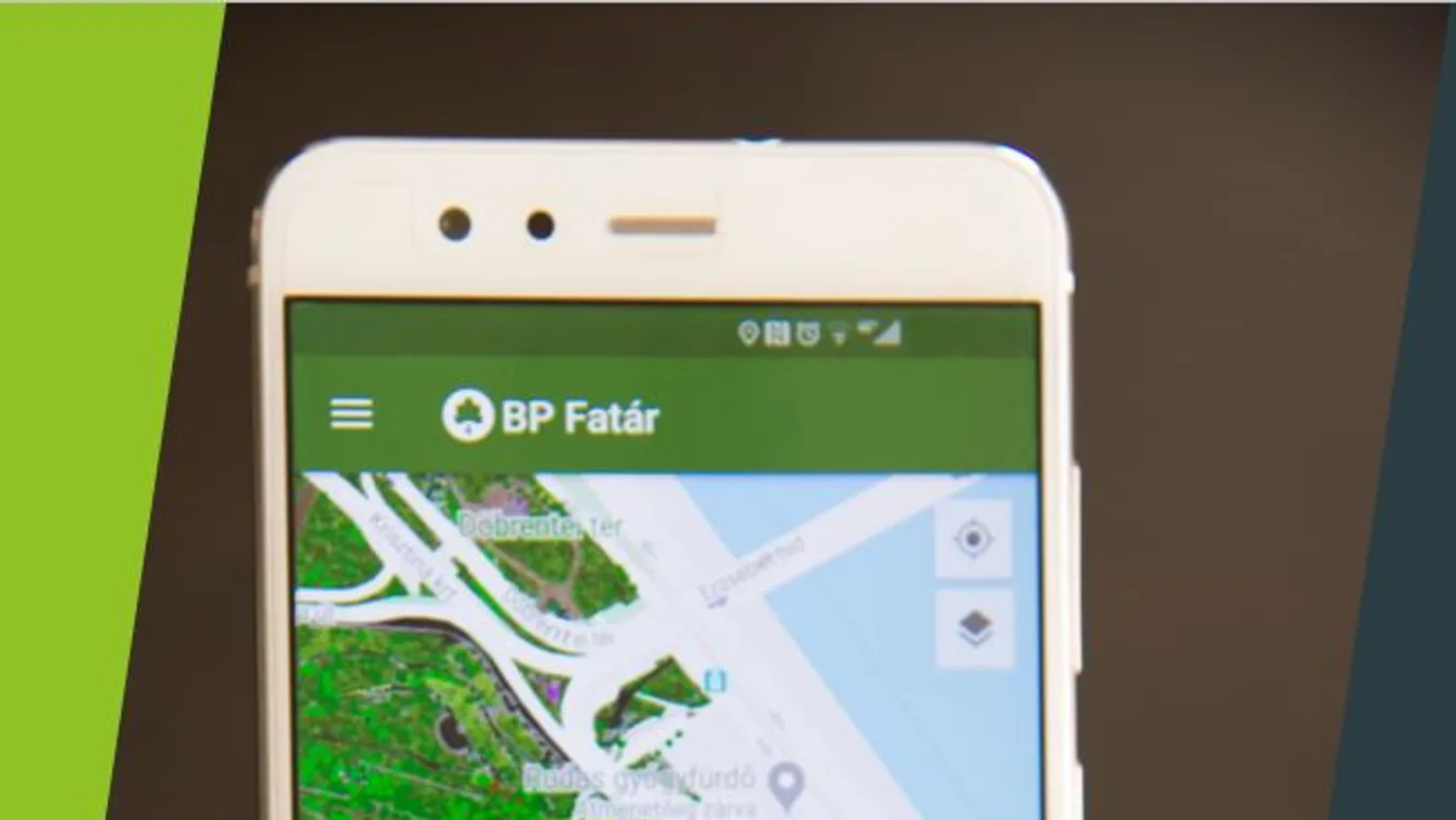 Itt a zöld vagyonleltár, te is megnézheted, mennyit ér egy fa