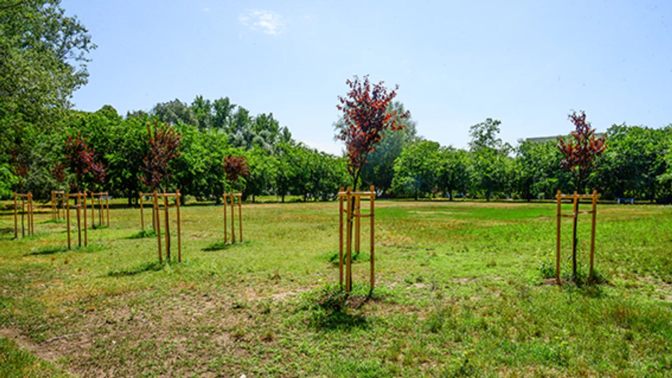 Győztek a lakók Óbudán: Mégsem építik be az utolsó nagy parkot a Rómain
